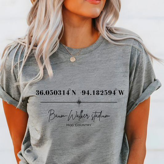 Baum-Walker Stadium Coordinates Arkansas Razorback Baseball Adult Tee (Black)