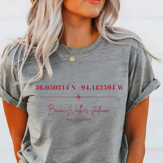 Baum-Walker Stadium Coordinates Arkansas Razorback Baseball Adult Tee (Red)