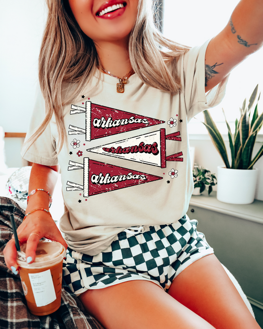 Arkansas Pennants Distressed Adult Tee