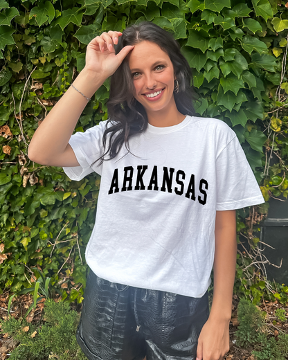Collegiate Arkansas Adult Tee (Black)